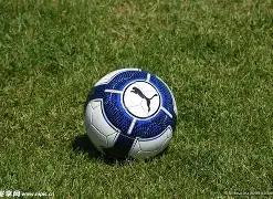 彩市秘籍,双色球第,期精准杀红,河南体彩,河南体彩网,河南体彩网官网,体育彩票,体彩大乐透,竞彩足球,体彩公益