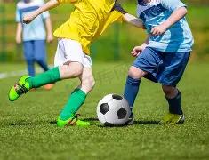 双色球独门,秘籍,期红球必中,河南体彩,河南体彩网,河南体彩网官网,体育彩票,体彩大乐透,竞彩足球,体彩公益