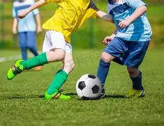 雷精灵秘籍,独家揭晓,期排三必中,河南体彩,河南体彩网,河南体彩网官网,体育彩票,体彩大乐透,竞彩足球,体彩公益