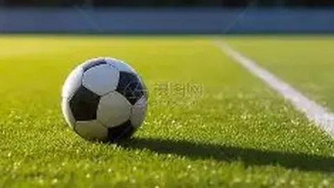 Oops! 你好幸运，遇到了神秘的大门：探索403禁止通行背后的秘密