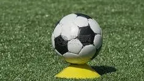 河南体彩网 资讯 083001 yx9