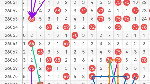 福彩3D第2026066期专家推荐十注组选，信心之选