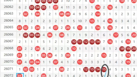 双色球第2026028期专家推荐：质合分析前区十码